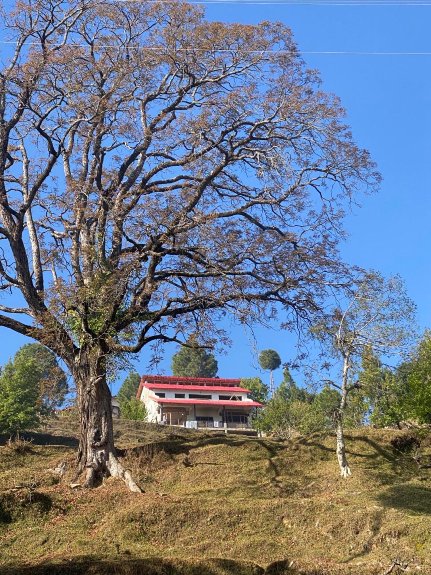 Little Frida- The Dak Bungalows Mukteshwar Kültér fotó